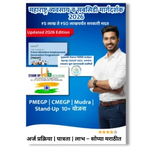 business subsidy ebook cover